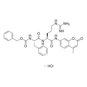 Z-Phe-Arg-7-amido-4-methylcoumarin, Hydrochloride