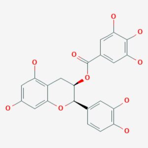 Epicatechin gallate