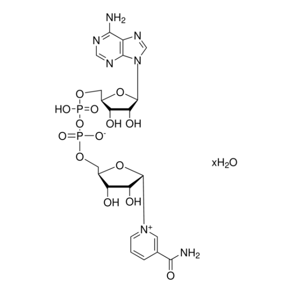 Nicotinamide adenine dinucleotide free acid