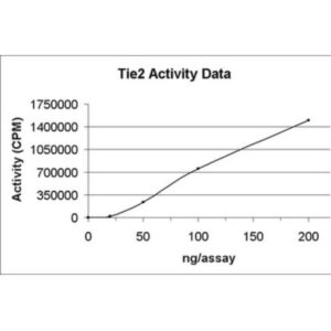 Tie2 Protein, active, 10 µg