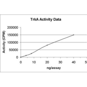 TrkA Protein, active, 10 µg