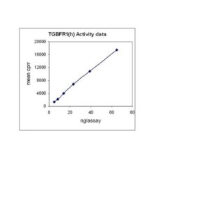 TGFBR-1 Protein, active, 10 µg