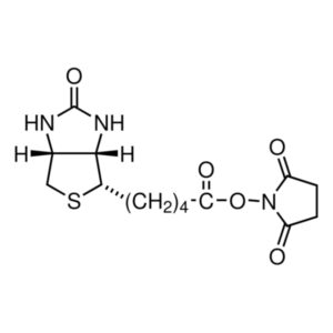 Biotin-NHS