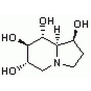 Castanospermine, Castanospermum australe