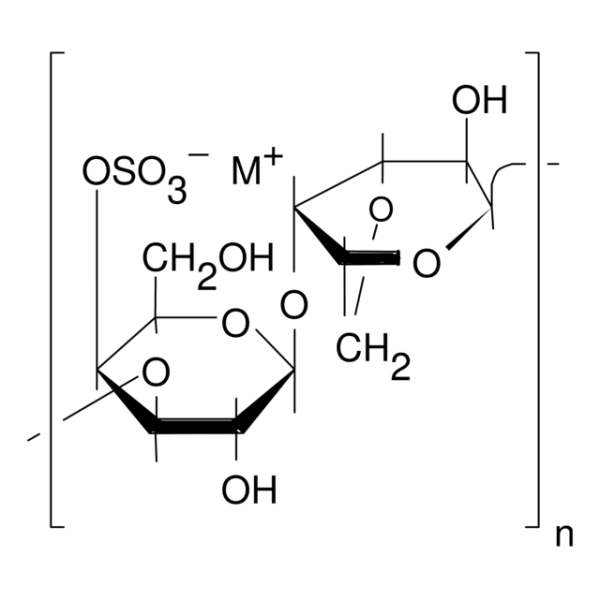 κ-Carrageenan