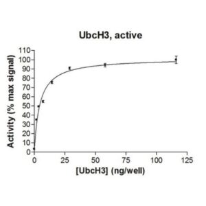 UbcH3 Protein, active, 10 µg