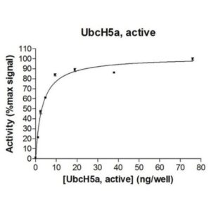 UbcH5a Protein, active, 50 µg