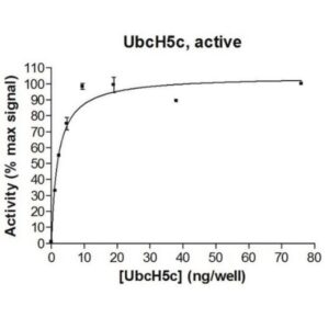 UbcH5c Protein, active, 10 µg