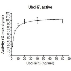 UbcH7 Protein, active, 10 µg