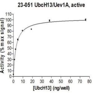 UbcH13/Uev1A Protein, active, 10 µg
