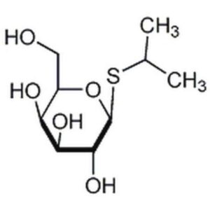 IPTG, Animal-Free, High Purity