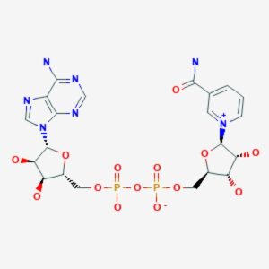β-Nicotinamide adenine dinucleotide hydrate