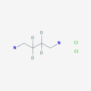 1,4-Diaminobutane-2,2,3,3-d₄ dihydrochloride