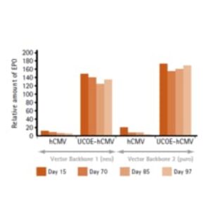 UCOE® Expression Vector - Human 4kb Puro Set - Novagen®