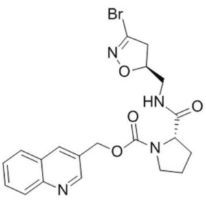 Transglutaminase 2 Inhibitor II, ERW1041E