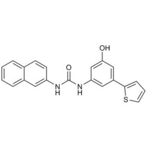 Wnt-β-Catenin Signaling Inhibitor, FzM1