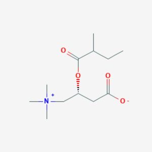 2-Methylbutyryl-ʟ-carnitine