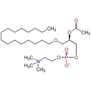 Platelet Activating Factor-16