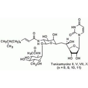 Tunicamycin, Streptomyces lysosuperficus