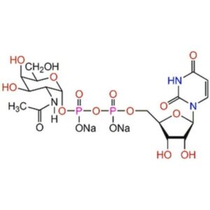 UDP-α-D-N-Acetylgalactosamine, Disodium Salt
