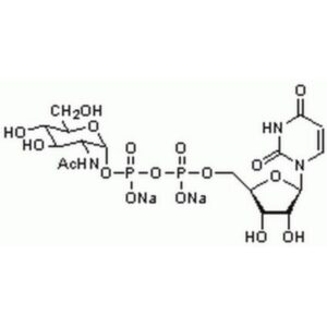 UDP-α-D-N-Acetylglucosamine, Disodium Salt