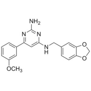 Wnt Agonist I in DMSO