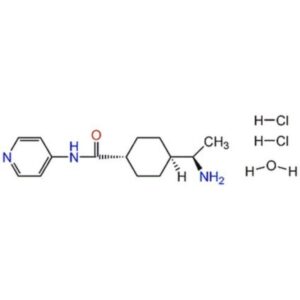 Y-27632-CAS 331752-47-7-Calbiochem