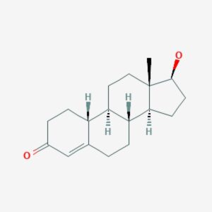 19-Nortestosterone