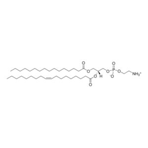 16:0-18:1(n9) PE - IsoPure