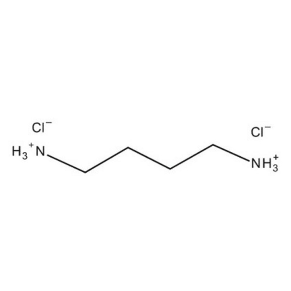 1,4-Diaminobutane dihydrochloride