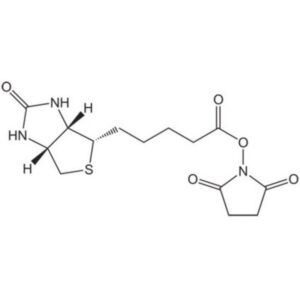Biotin-OSu