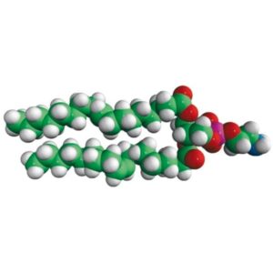 18:1 (Δ9-Cis) PE (DOPE)
