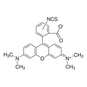 Tetramethylrhodamine isothiocyanate mixed isomers