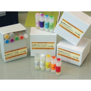 TLAM-Iδ1MεTγ-¹³CH₃ Methyl Labeling Kit