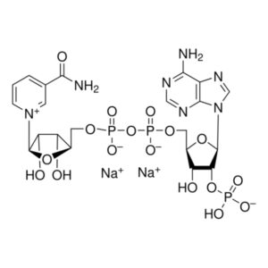 β-Nicotinamide adenine dinucleotide phosphate disodium salt