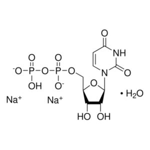 Uridine 5′-diphosphate disodium salt hydrate