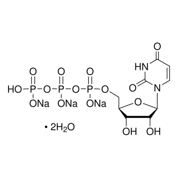 Uridine 5′-triphosphate trisodium salt dihydrate