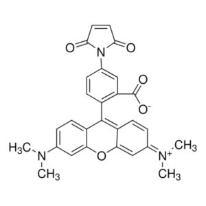 Tetramethylrhodamine-5-maleimide