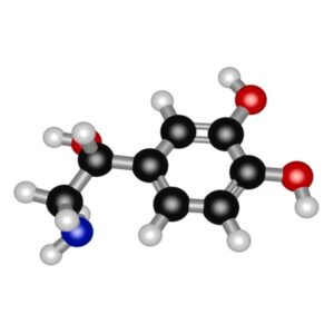 (±)-Norepinephrine (+)-bitartrate salt