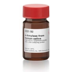 α-Amylase from human saliva