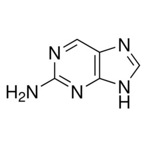 2-Aminopurine