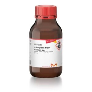 α-Amylase from Bacillus sp.