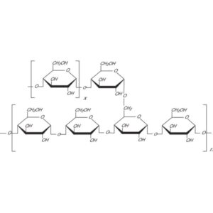 Amylopectin from potato starch