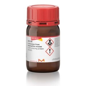 α-Amylase from Aspergillus oryzae