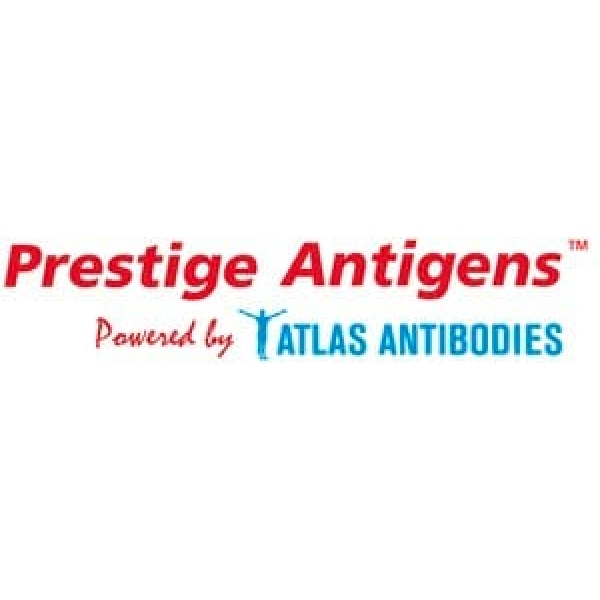 PrEST Antigen MIB2