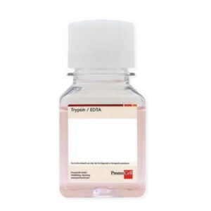 Trypsin / EDTA