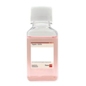 Trypsin / EDTA
