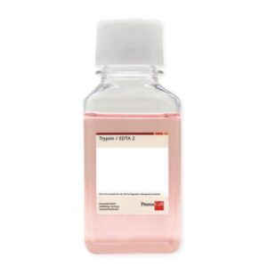 Trypsin / EDTA 2