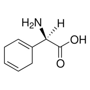 Cyclohexa-1,4-dienylglycine