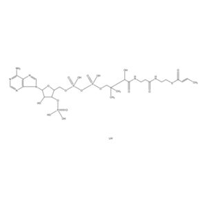 2-Butenoyl coenzyme A lithium salt